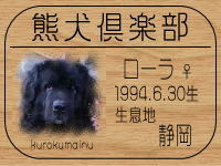 �I�[�i�[�́A���[���o����ł���